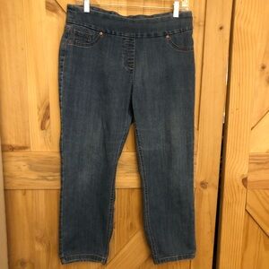 Westbound Womens Pull On Denim Jeans Size 10P Short